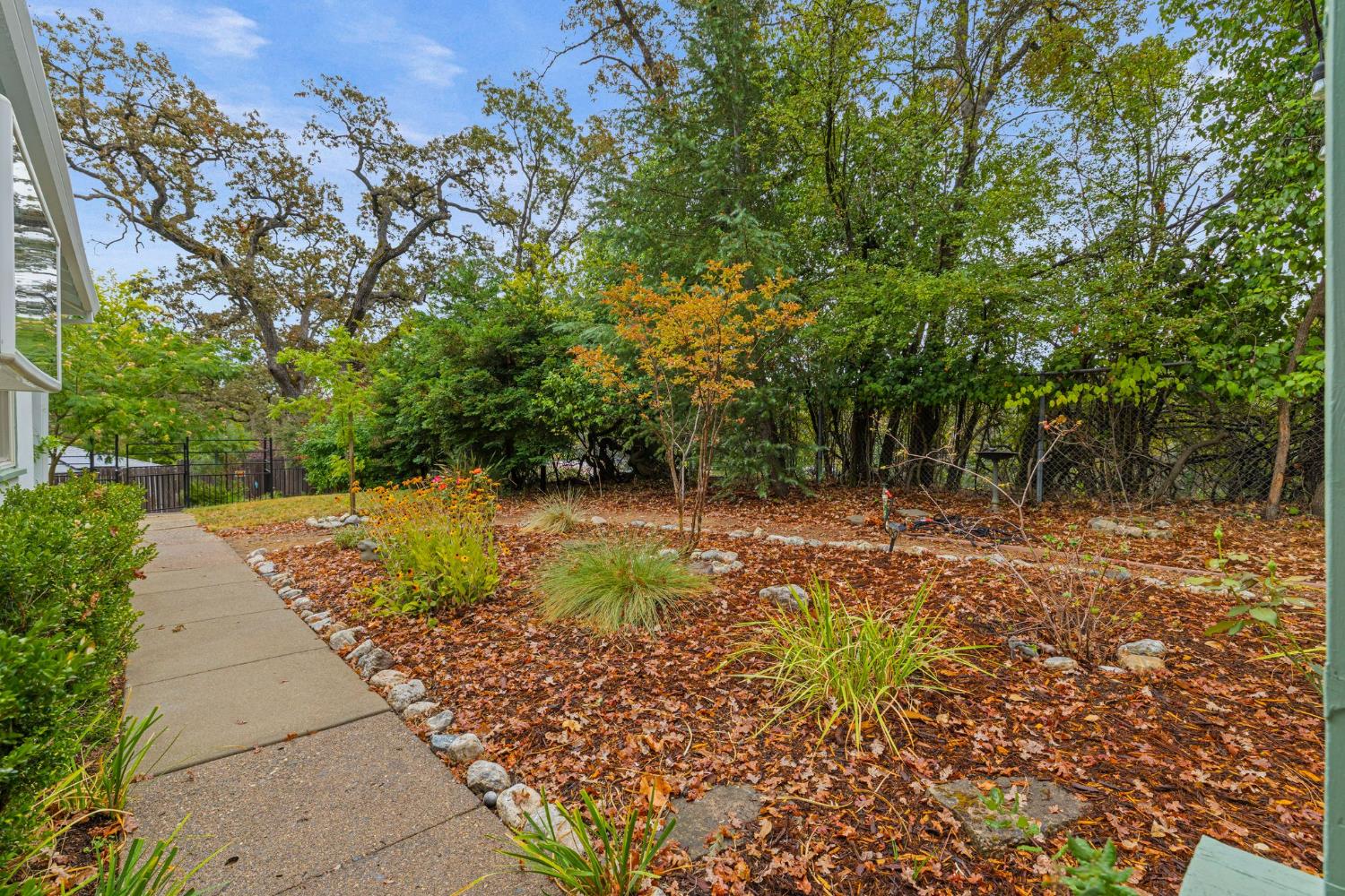 2954 Pierson Court