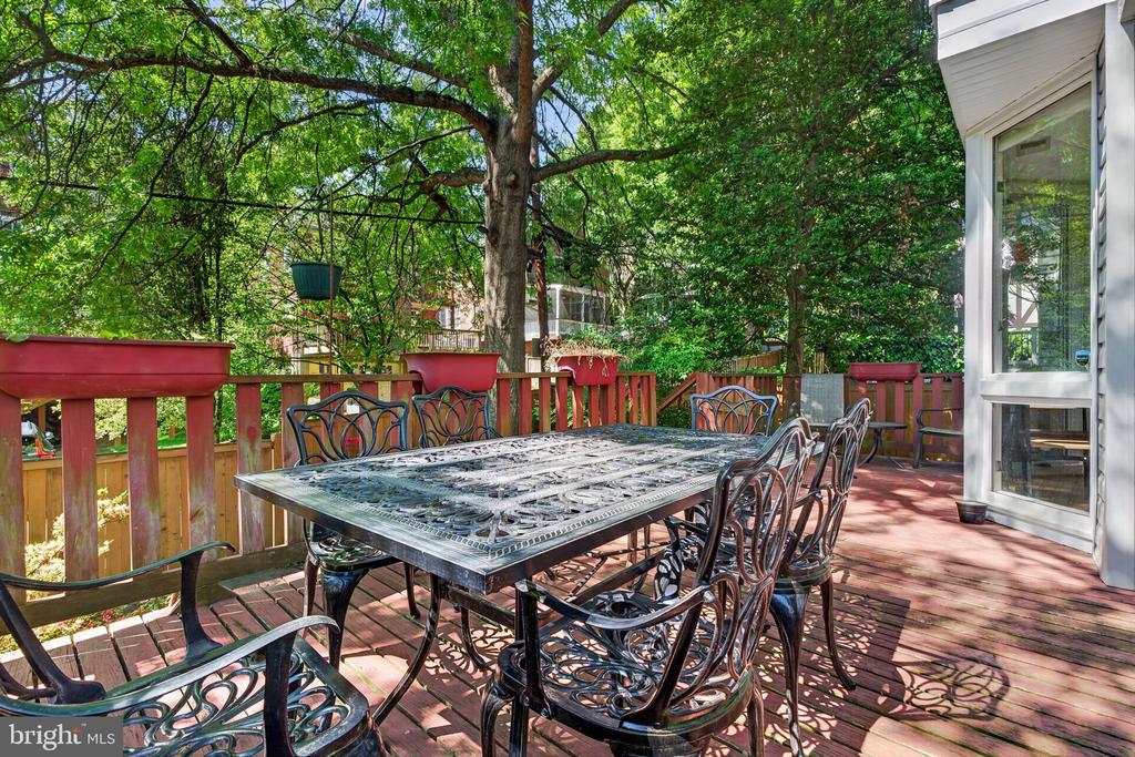 3606 JOCELYN STREET NW