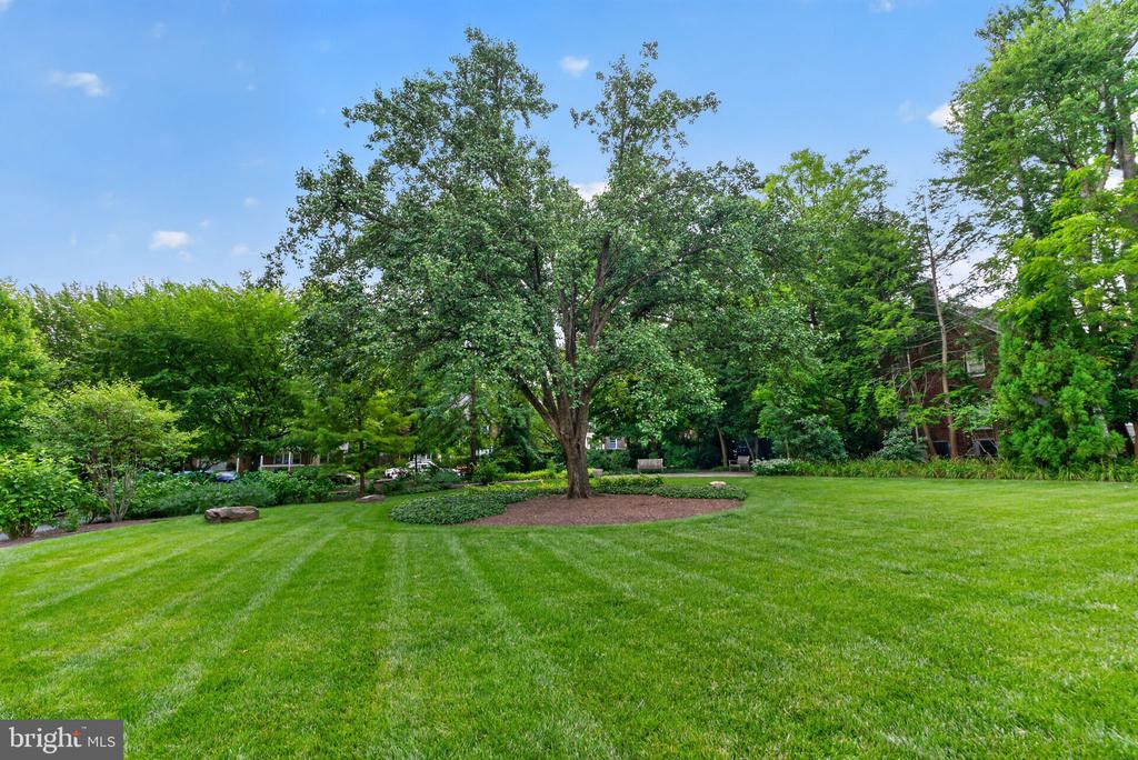 4600 CONNECTICUT AVENUE NW Unit: 717