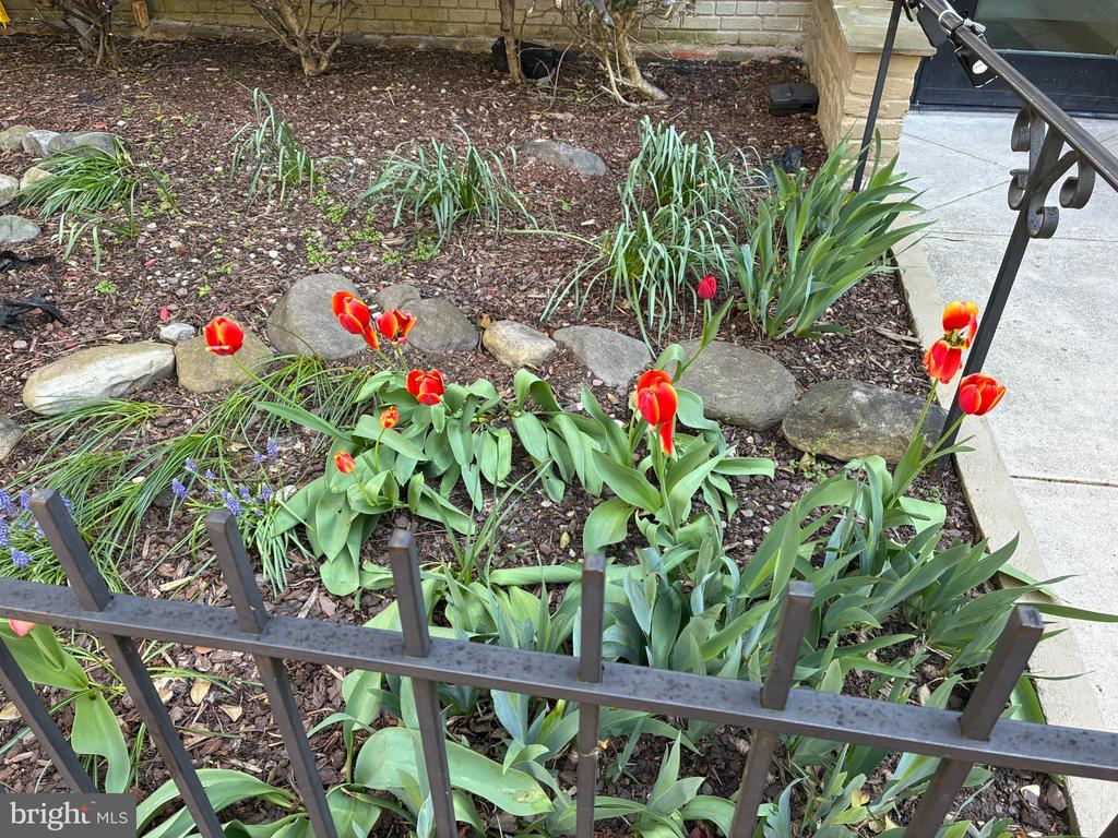 315 G STREET NE Unit: 201