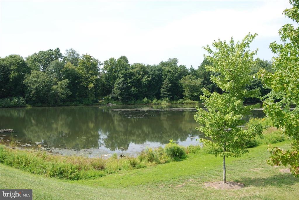 17 GRANITE PLACE Unit: 396