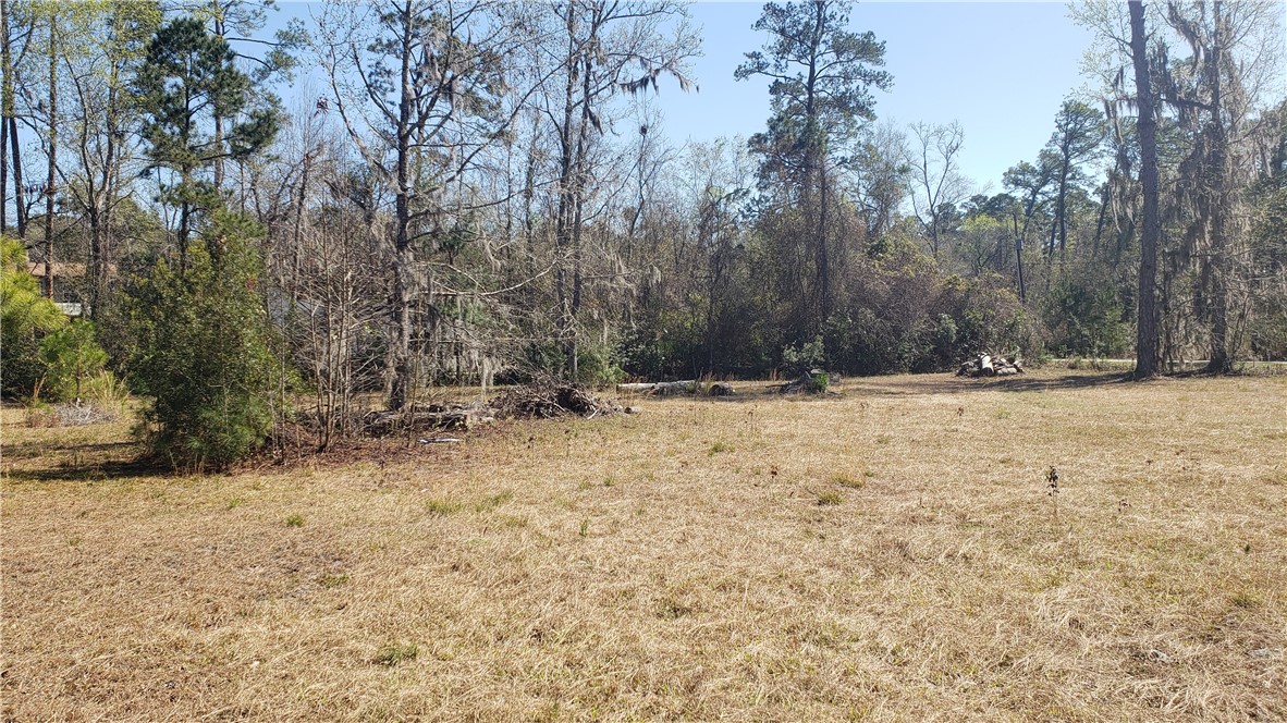 138 Dubignon Drive