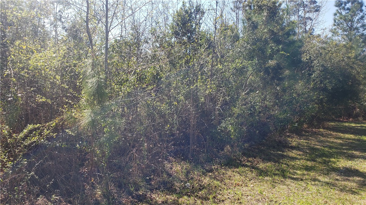 138 Dubignon Drive