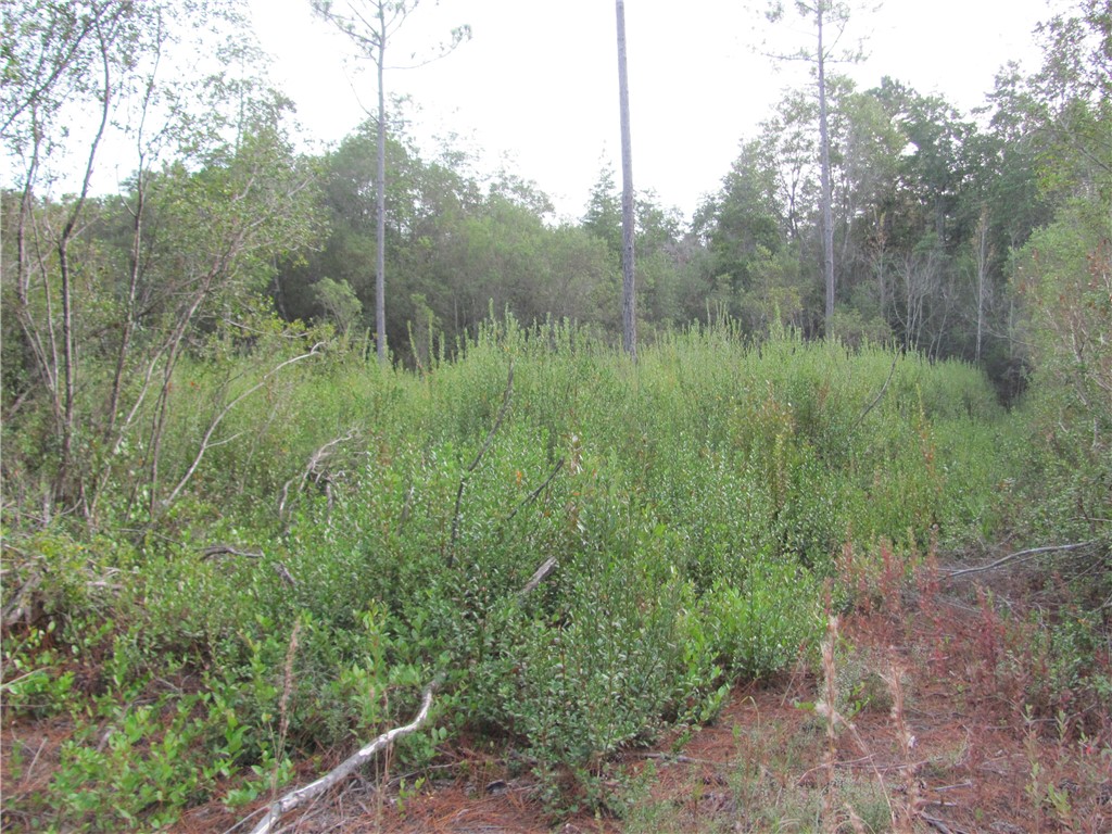 Lot 22 Longford Road