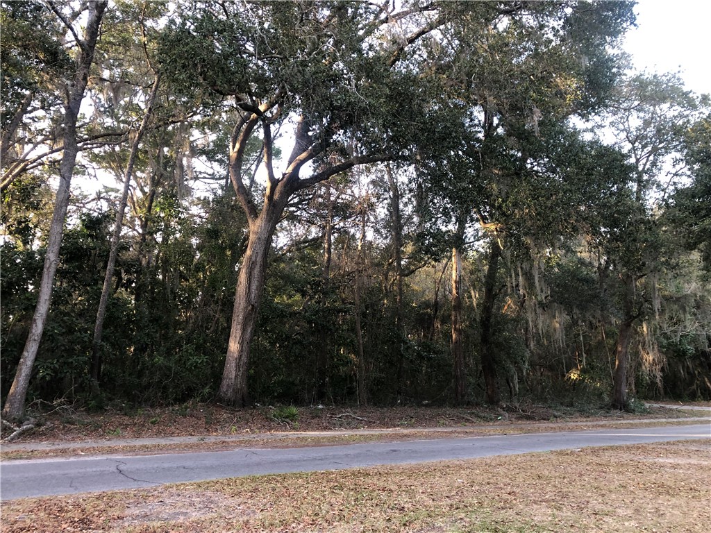 103 Martin Luther King Jr Blvd