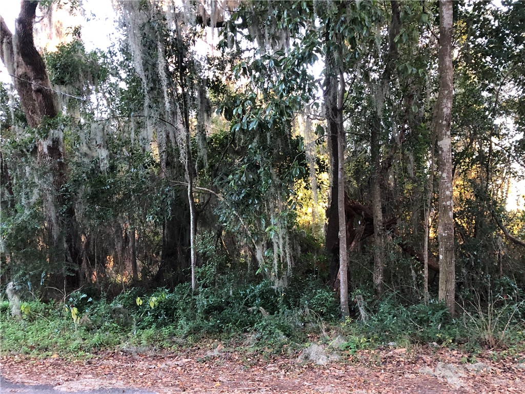 00 Owens Drive