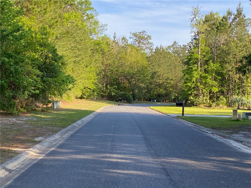 00 Canopy Lane
