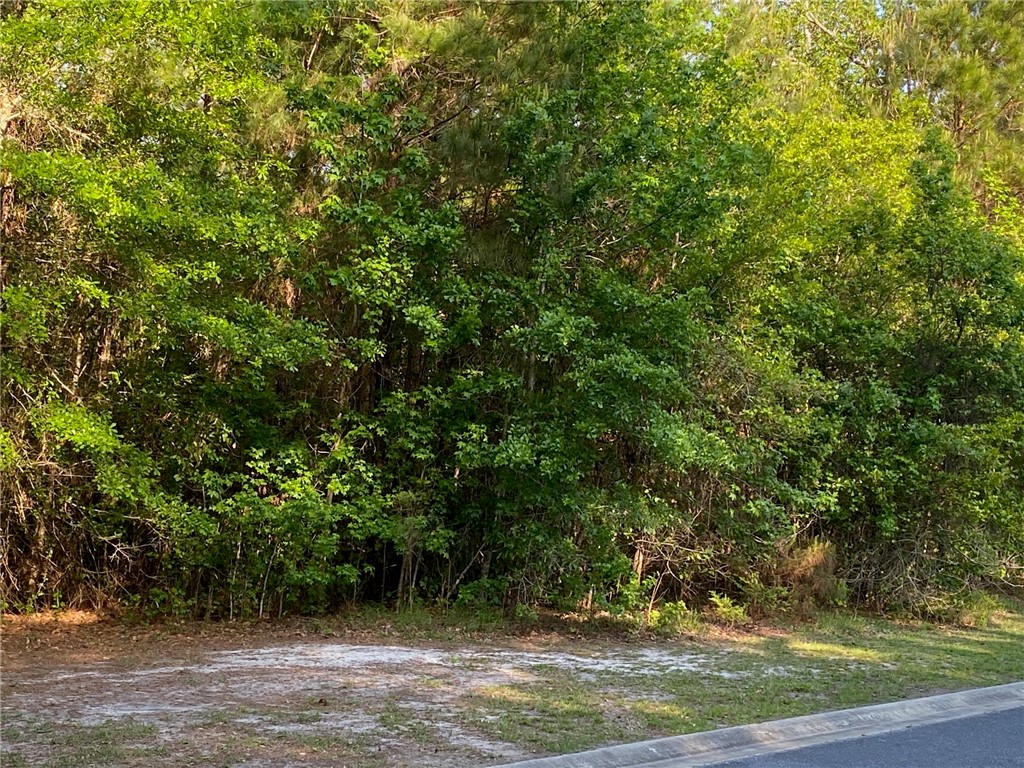 00 Canopy Lane