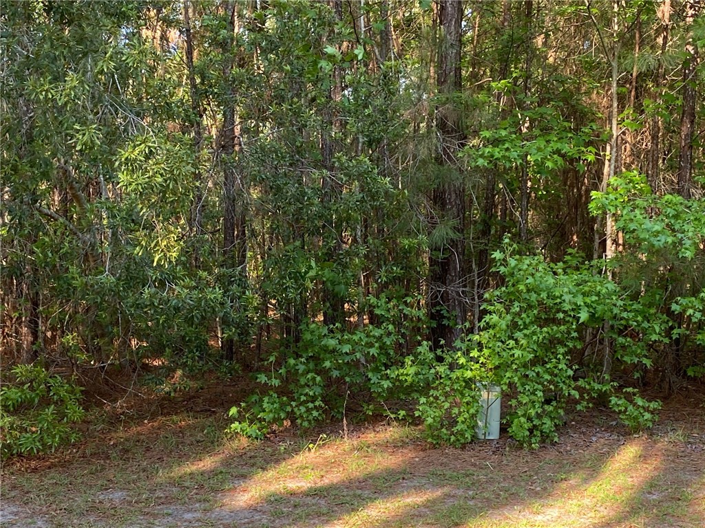 00 Canopy Lane