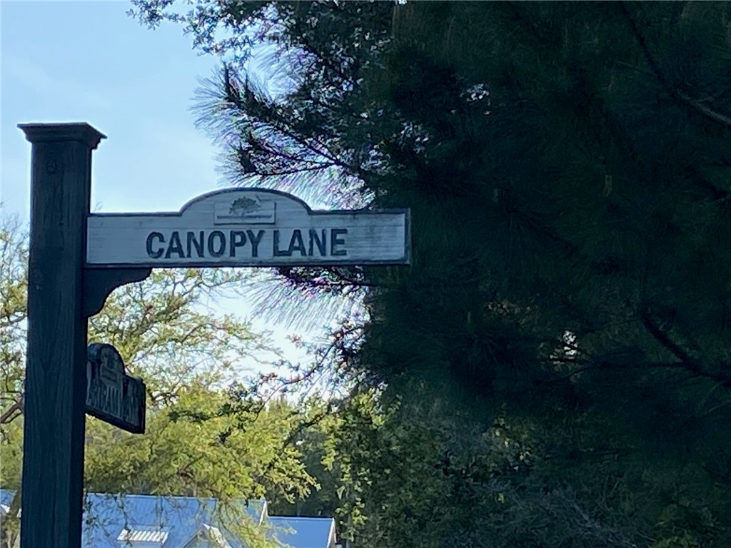 00 Canopy Lane