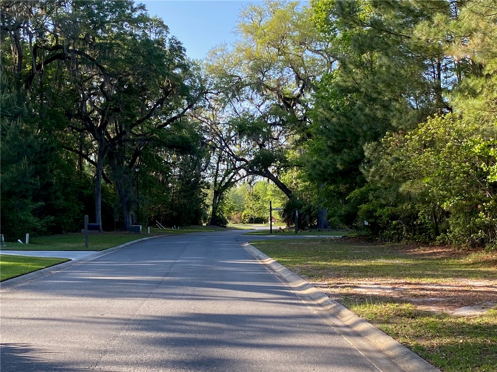 00 Canopy Lane