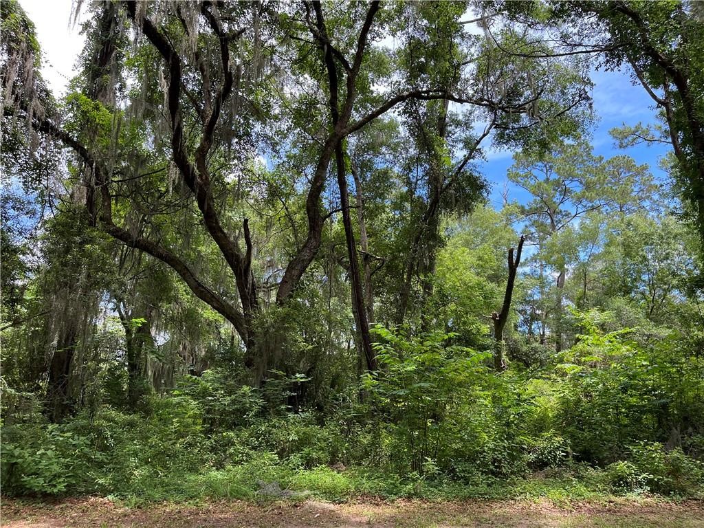 Lot 30 Tolomato Drive SE