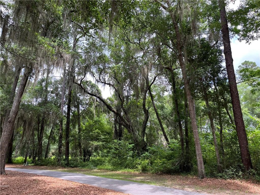 Lot 30 Tolomato Drive SE
