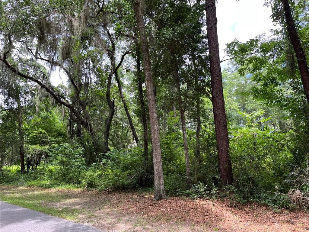 Lot 30 Tolomato Drive SE