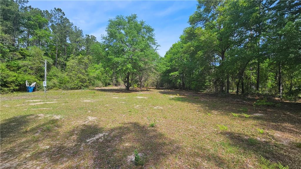 61 Coffee County Road
