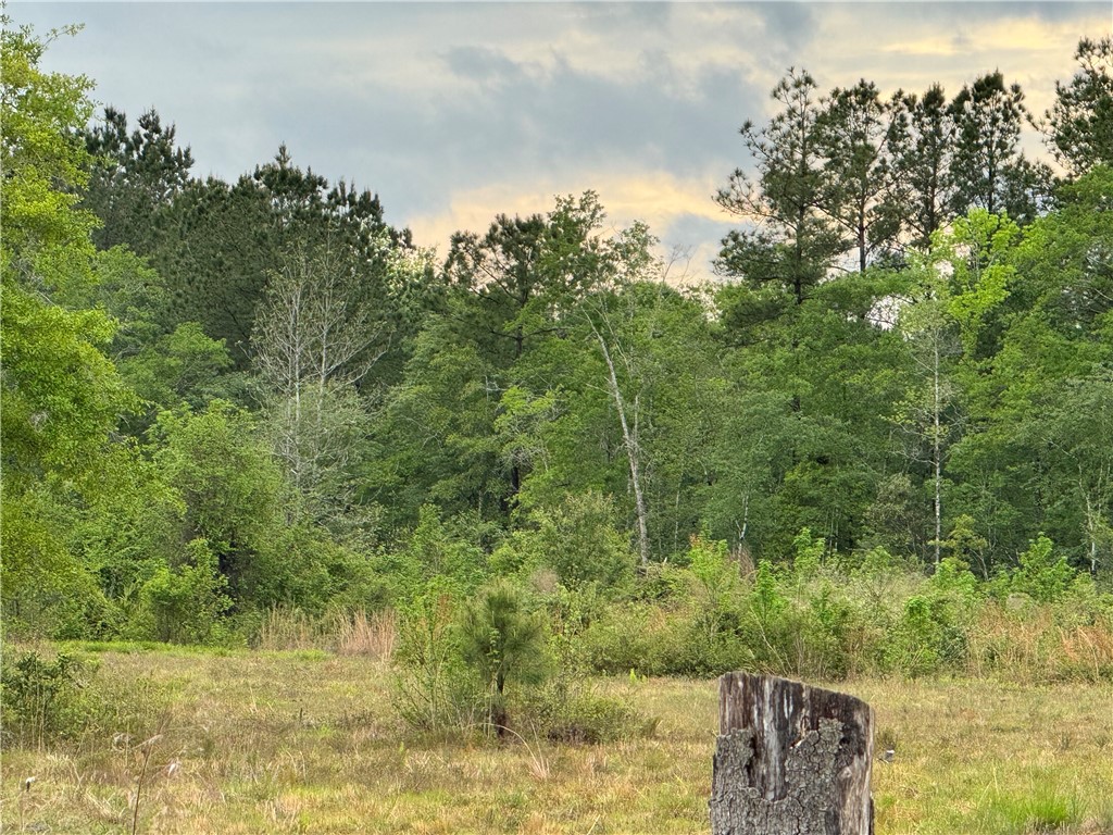 88 Rogers Break Road