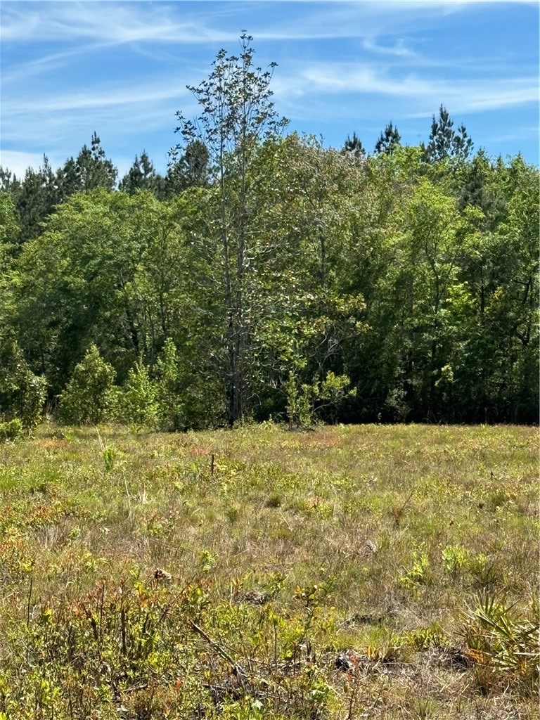 88 Rogers Break Road