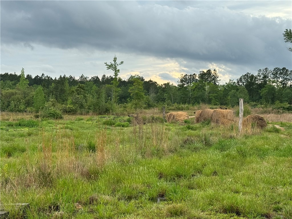 88 Rogers Break Road
