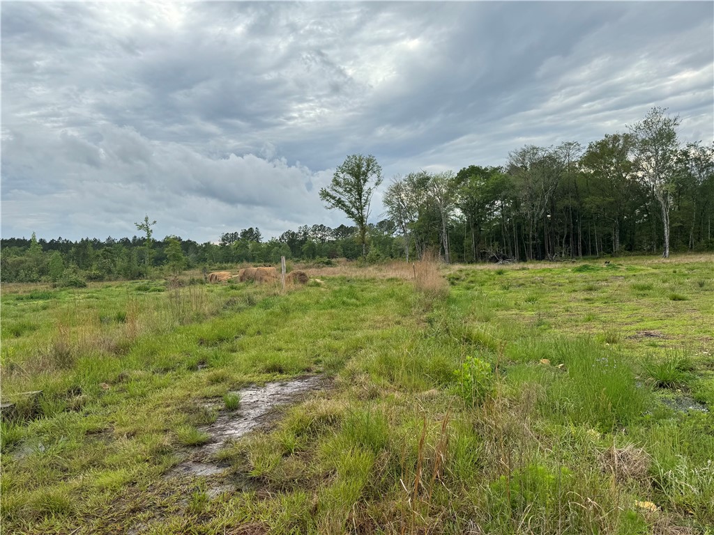 88 Rogers Break Road