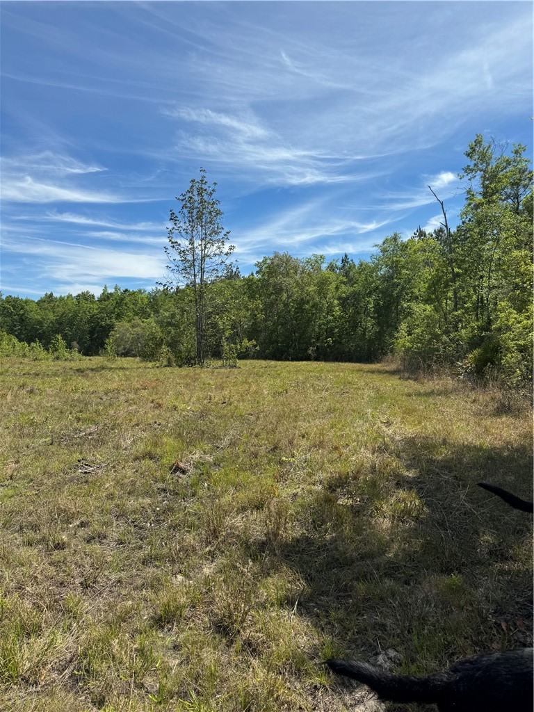 88 Rogers Break Road