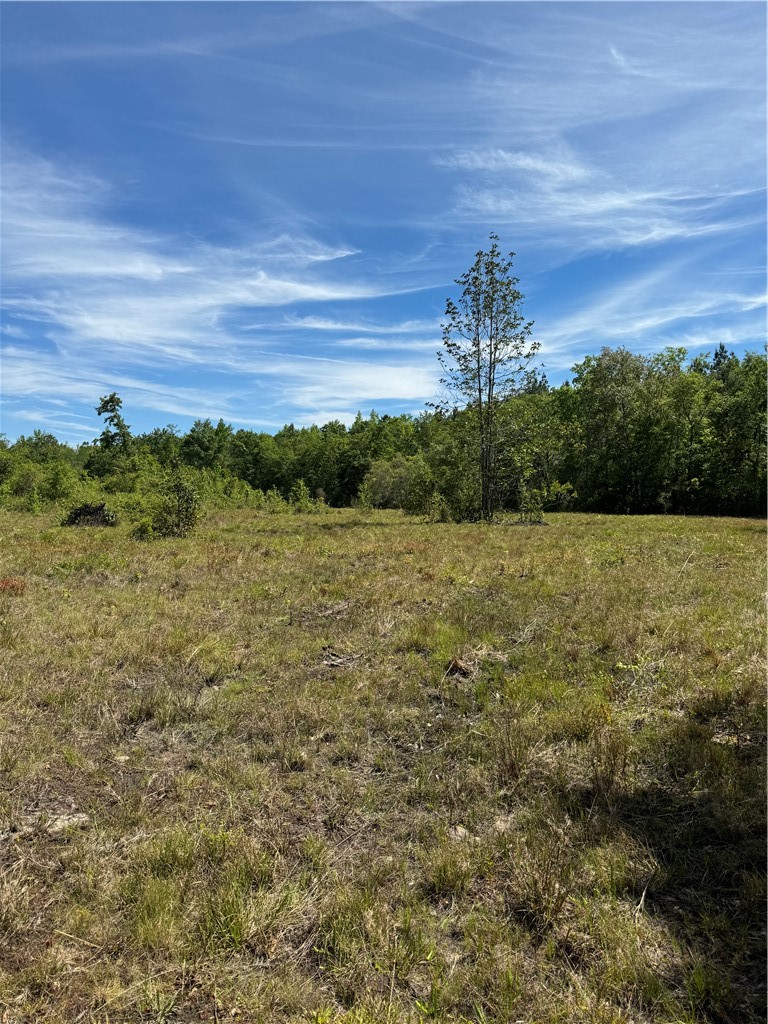 88 Rogers Break Road