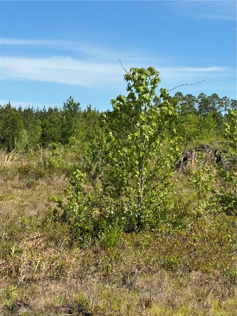 88 Rogers Break Road