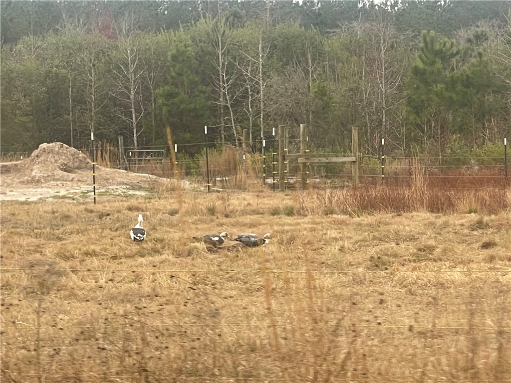 88 Rogers Break Road