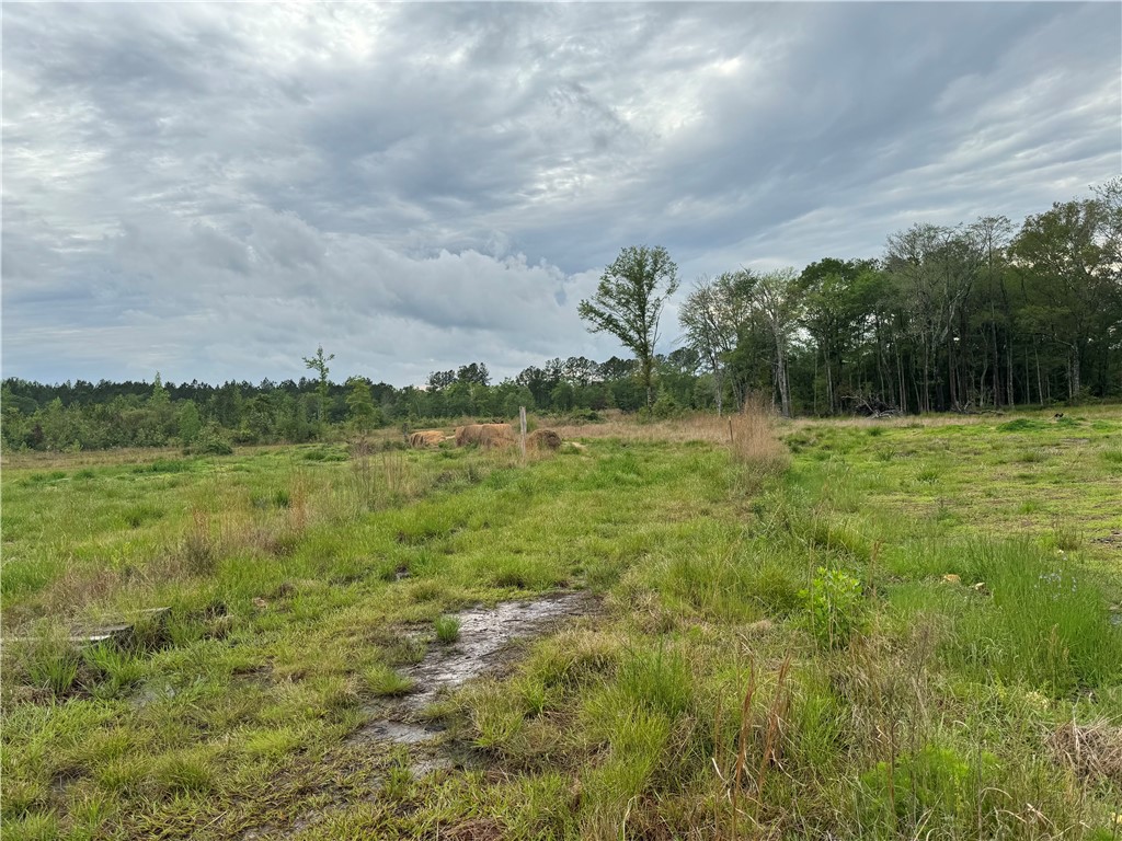 88 Rogers Break Road