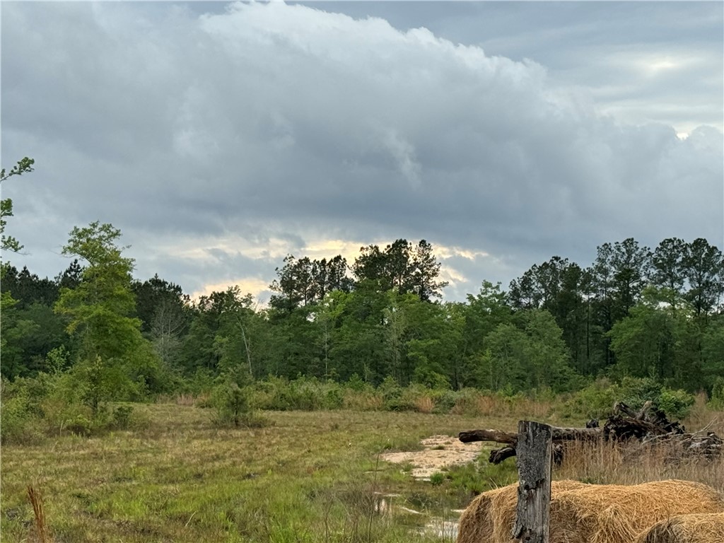 88 Rogers Break Road