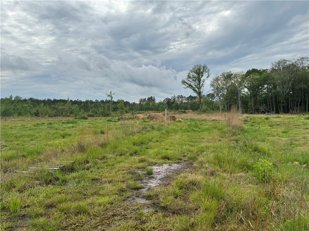88 Rogers Break Road