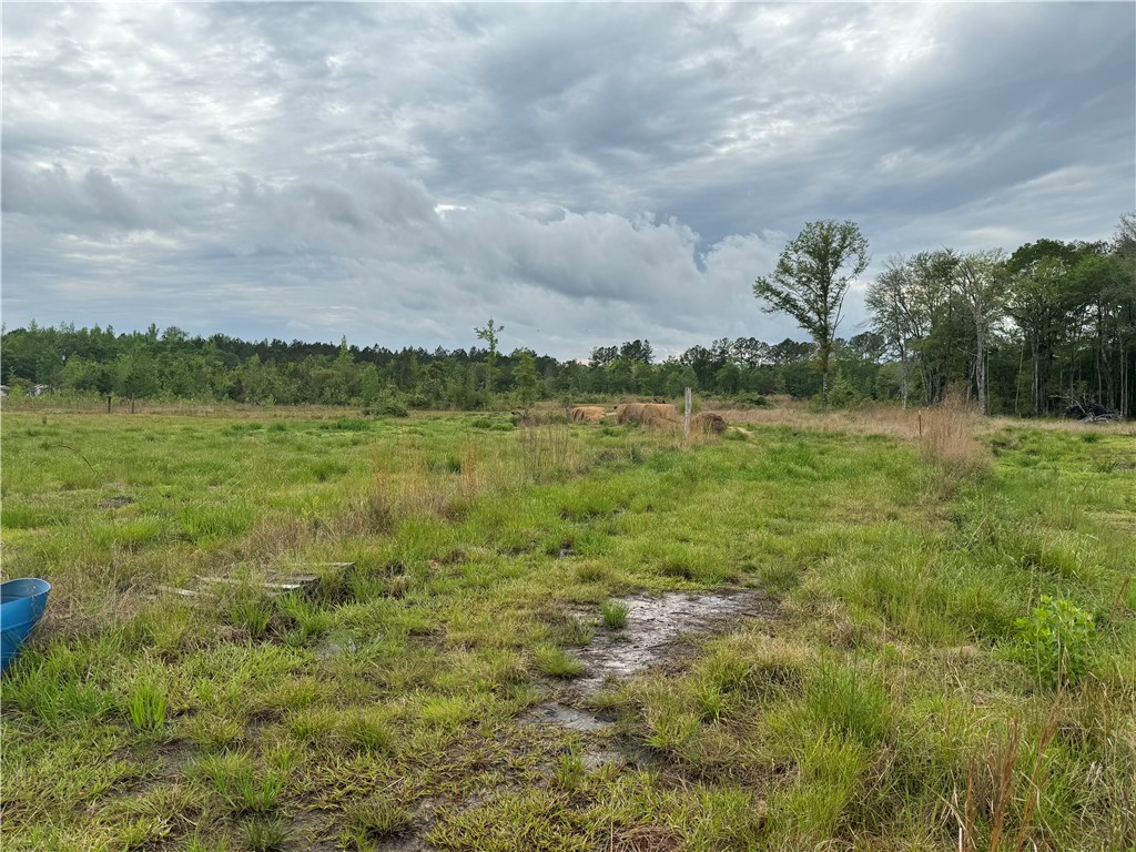 88 Rogers Break Road