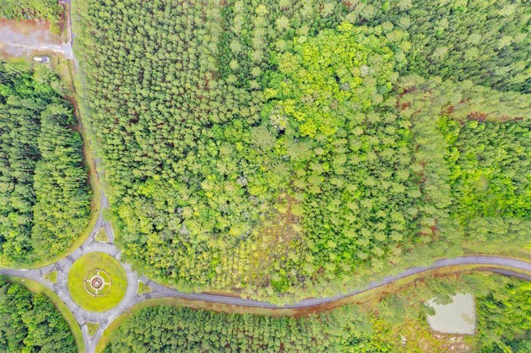 Lot 19 La Terra Lane
