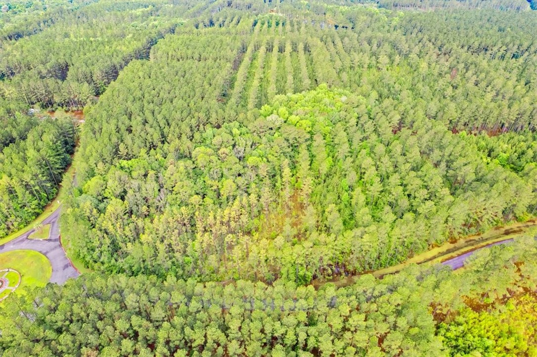 Lot 19 La Terra Lane