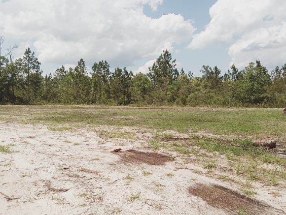 LOT 24 Picketts Mill Trail