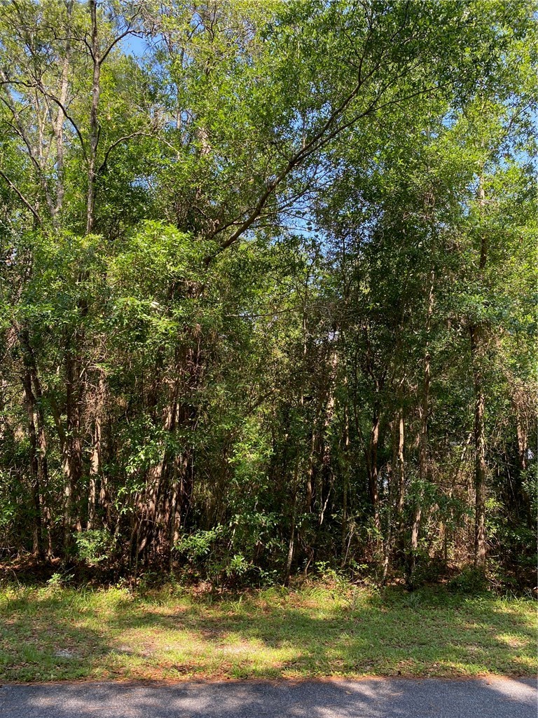 00 Horseshoe Cove Road
