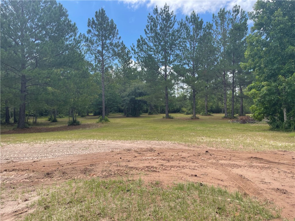 232 Daniel Road
