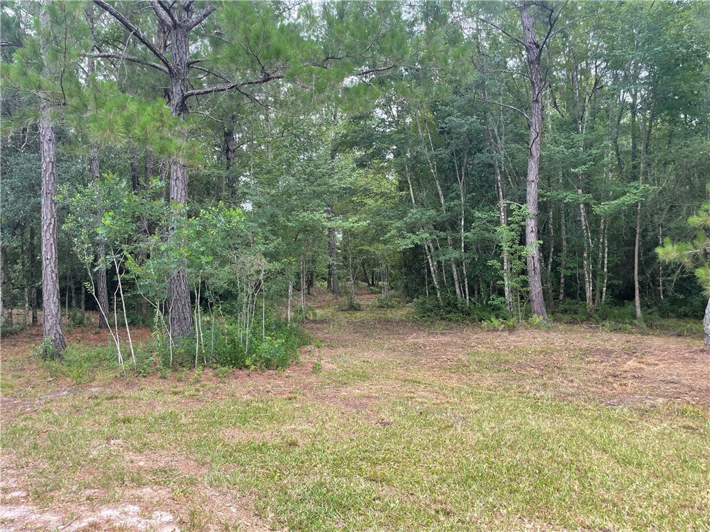232 Daniel Road