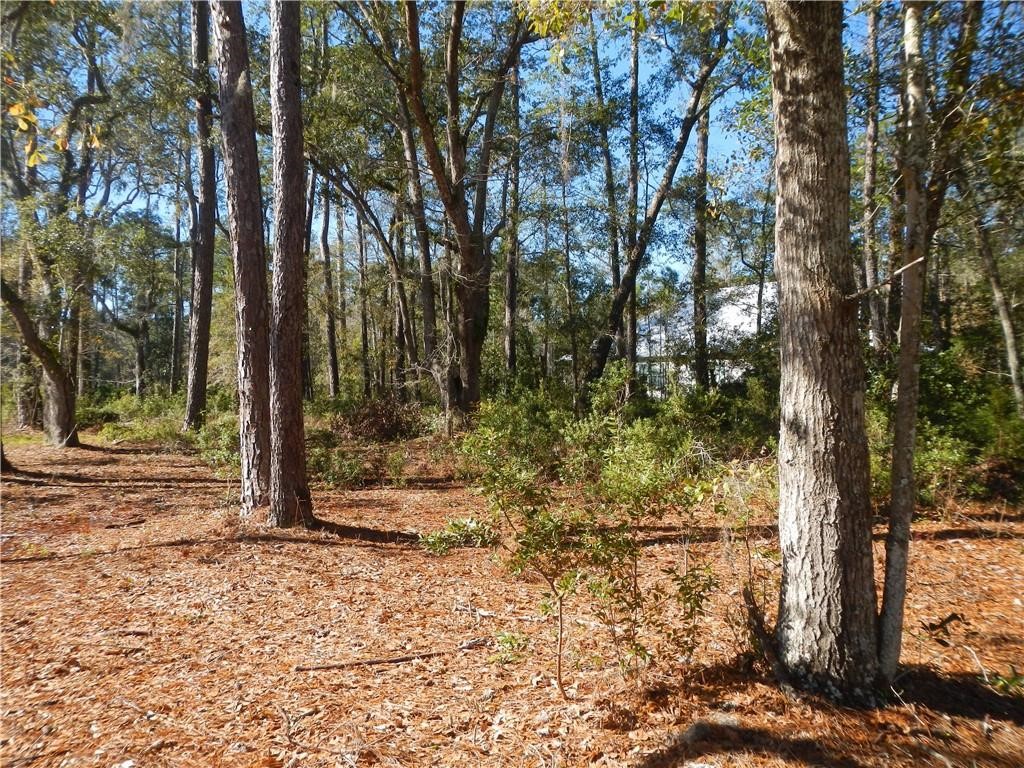 0 Sanderling Trace