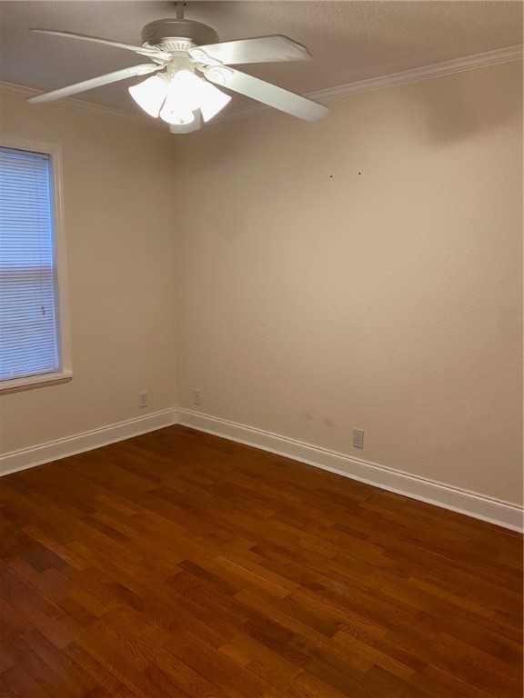 119 Maxwell Ave