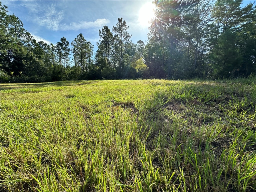 989 Lake Deborah Drive