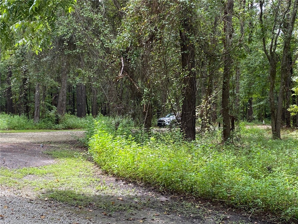 00 Pelican Point