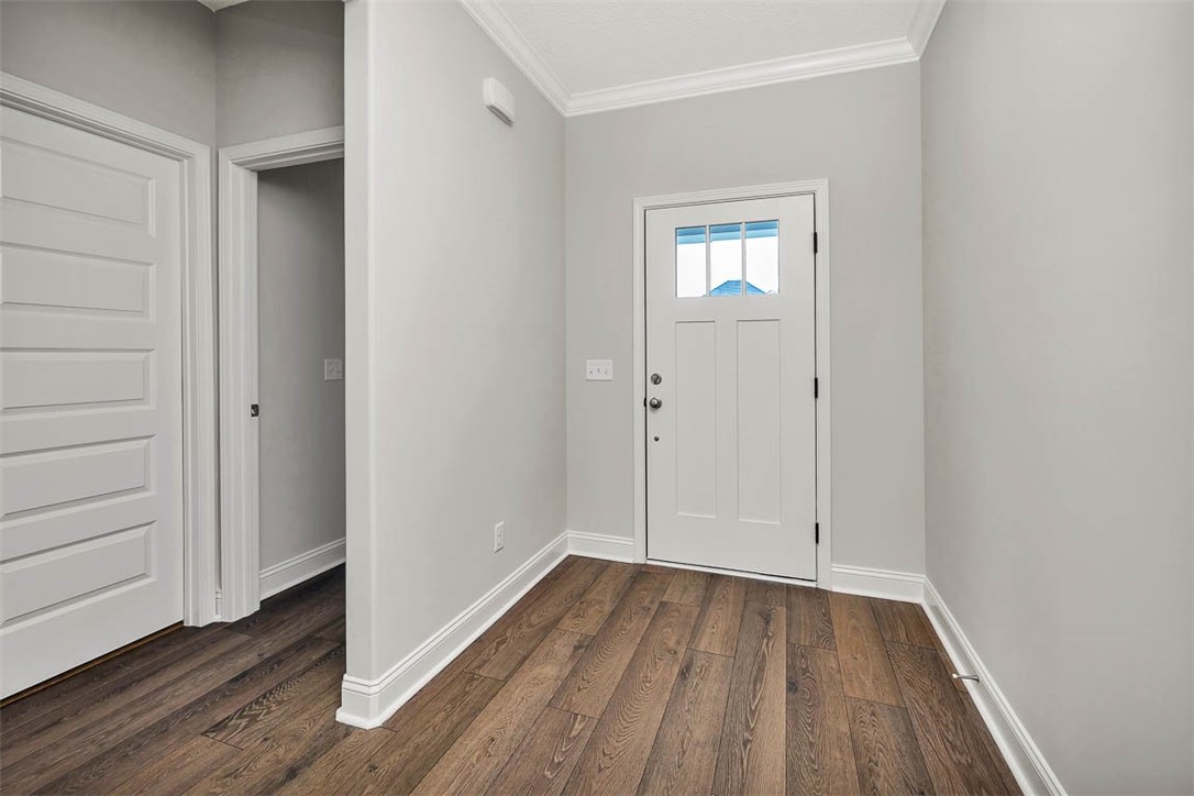 178 Allie Loop
