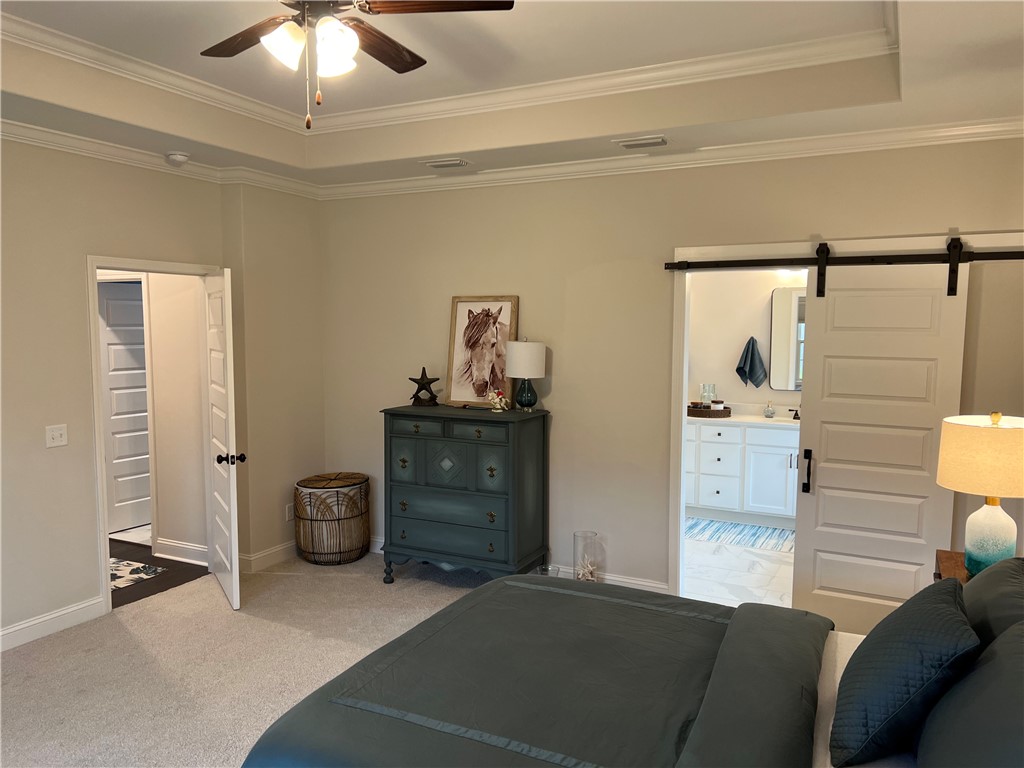 134 Allie Loop