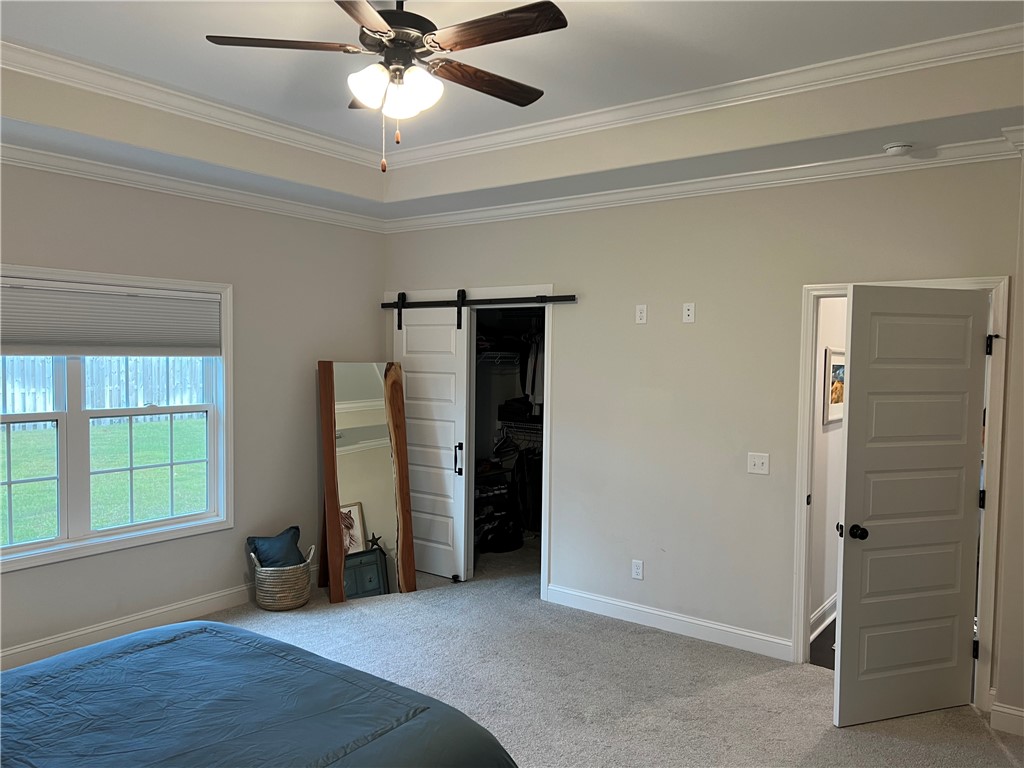 134 Allie Loop