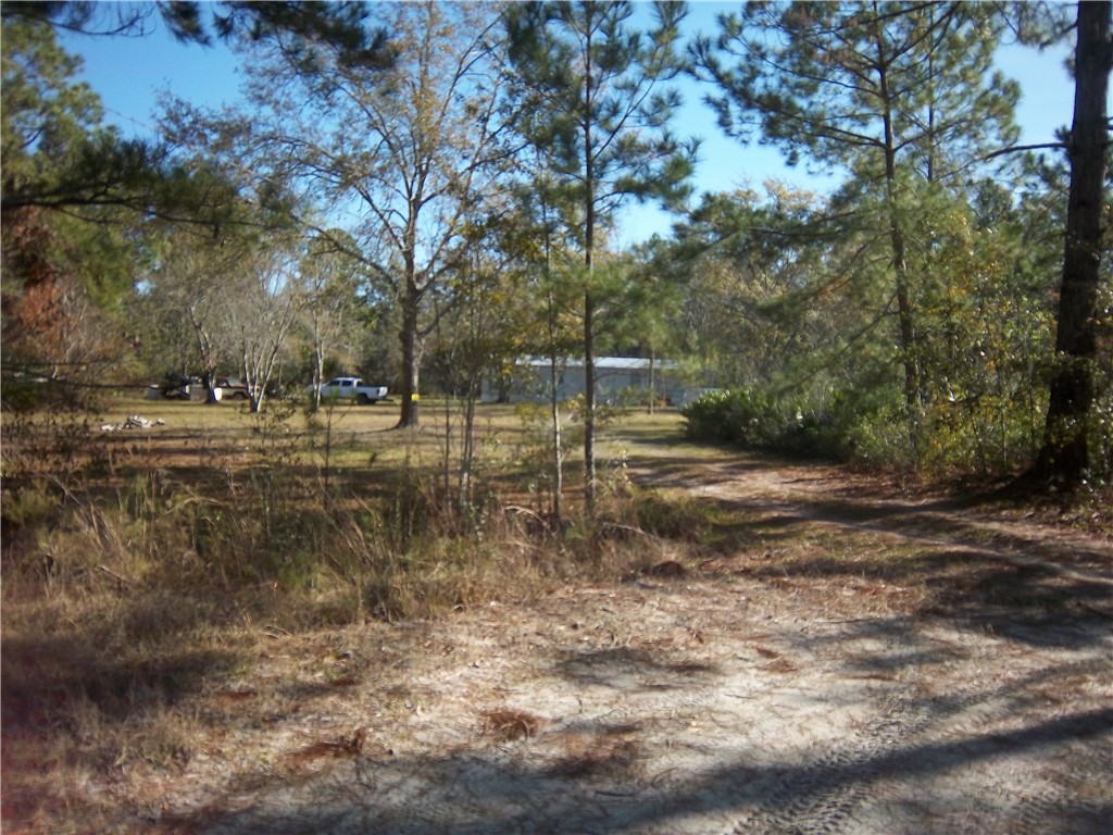 3176 Tie Island Road