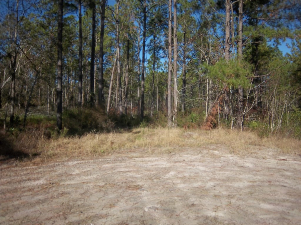 3176 Tie Island Road