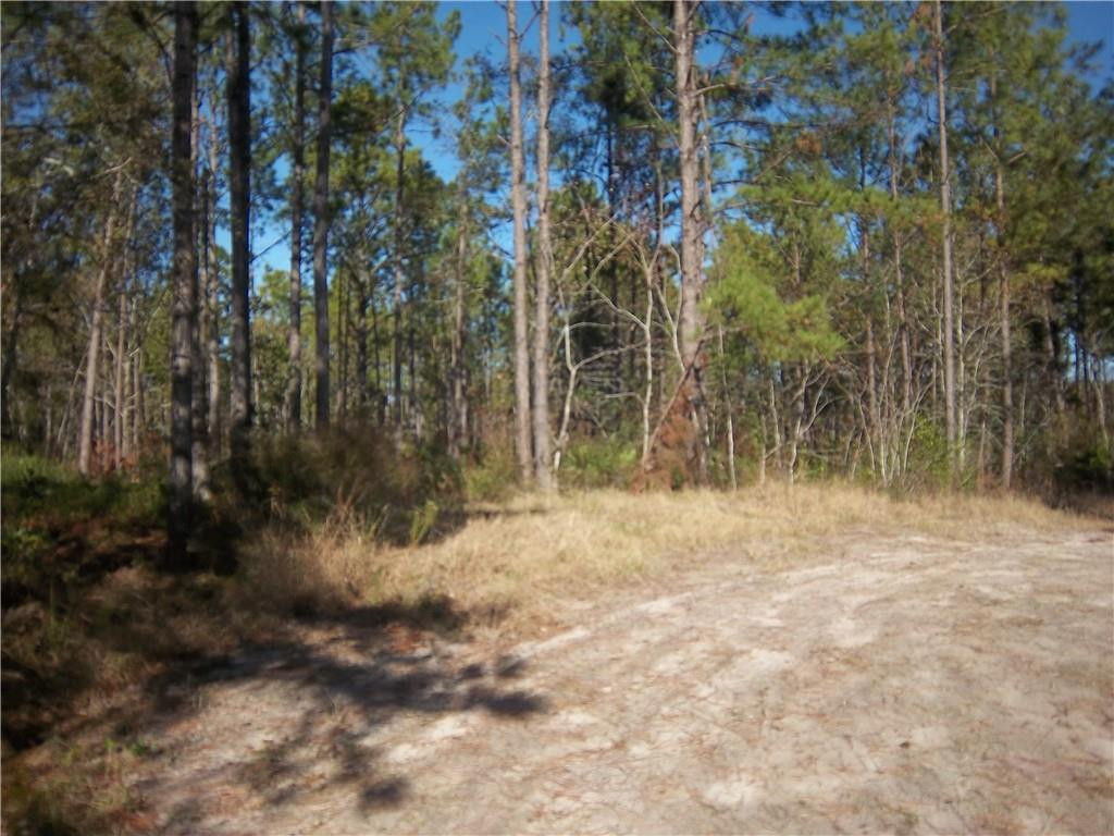 3176 Tie Island Road
