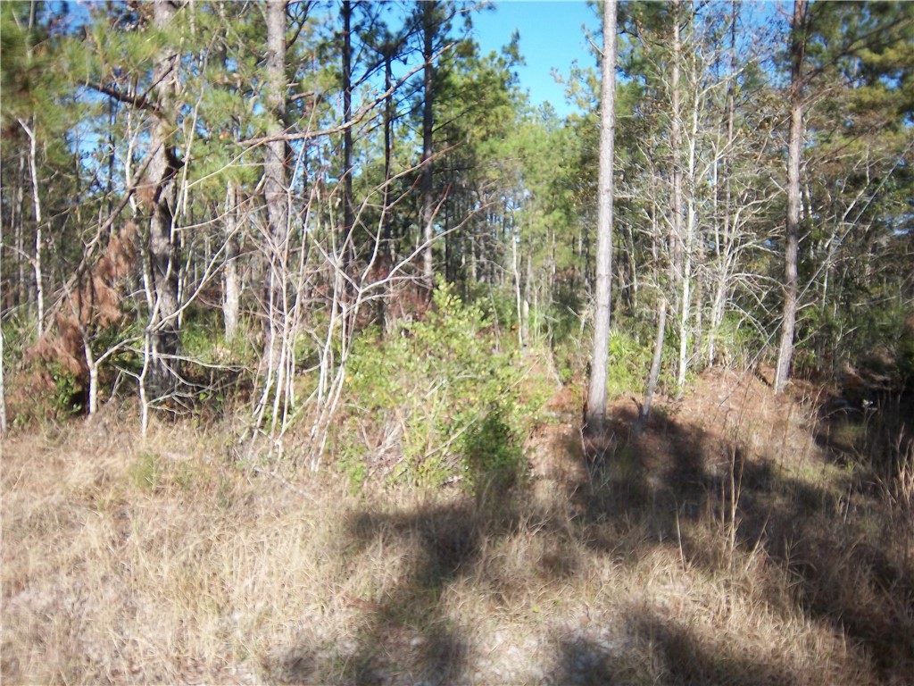 3176 Tie Island Road