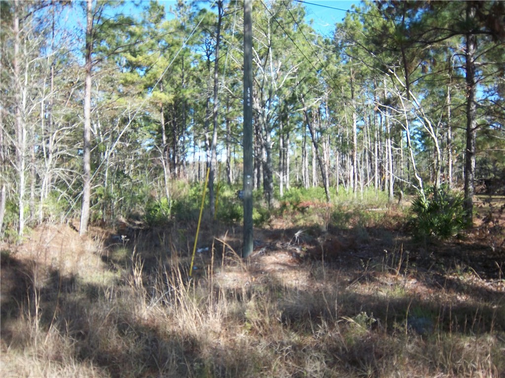 3176 Tie Island Road