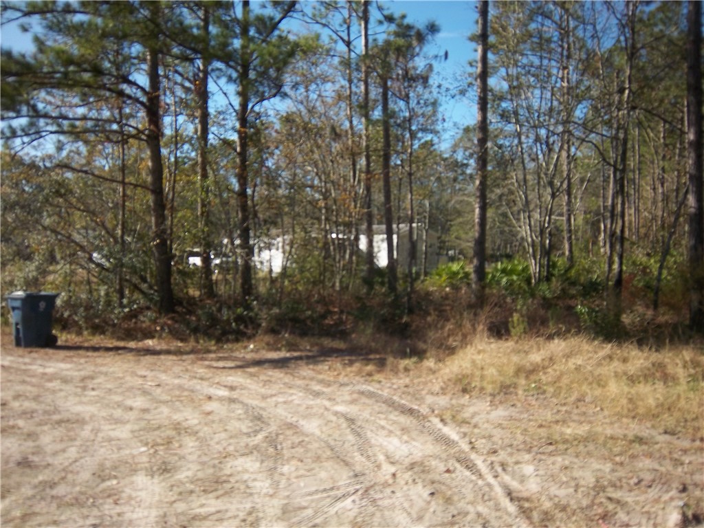 3176 Tie Island Road